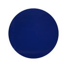 lot-de-54-pastilles-adhesives-standard-bleu-o-100-mm-ep-016-mm