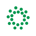 28345_400705_PUNAISES MAGNETIQUES VERT_Lot 20.png