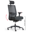 29139_571181_CHAISE DE BUREAU CONFORT