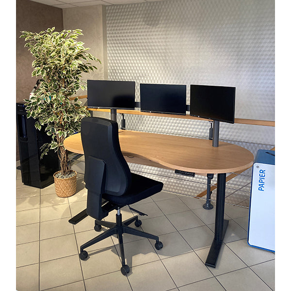 25532_LEANERGO BUREAU PREMIUM_application