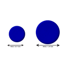 21555_PUNAISES BLEU.png