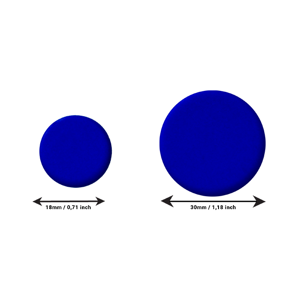 21555_PUNAISES BLEU.png