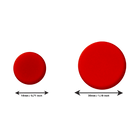 21552_PUNAISES ROUGE.png